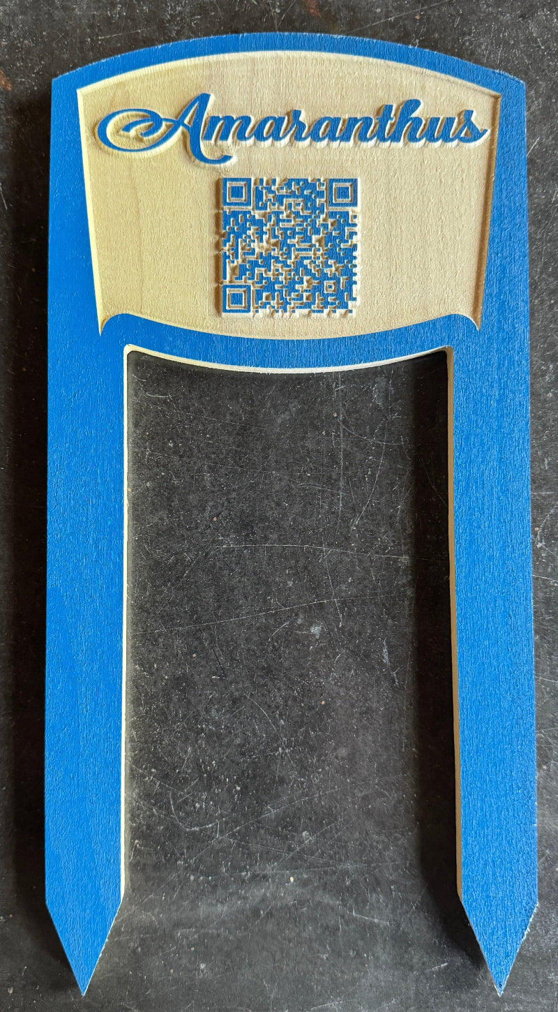 Blue plant label with 'Amaranthus' and a QR code on a dark background